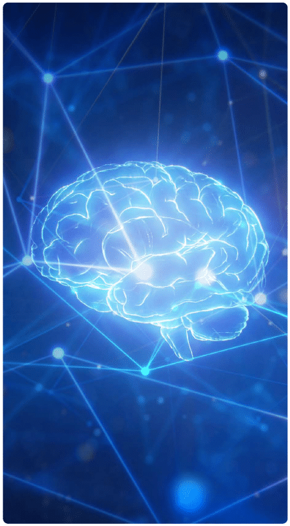 A 3D rendered image of a brain with a network connecting to it