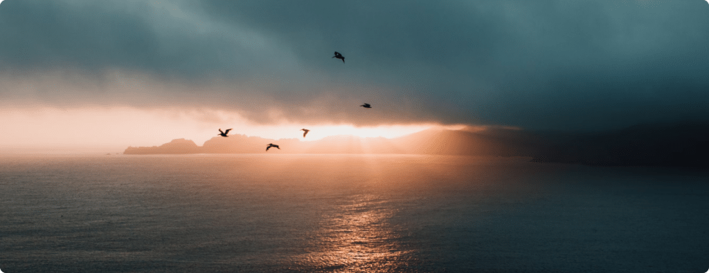 an image of five birds flying on a cloudy day with the sun setting on the horizon